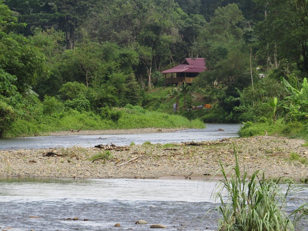 Batu Kapal Jungle Houses Hotell Berastagi Rom bilde