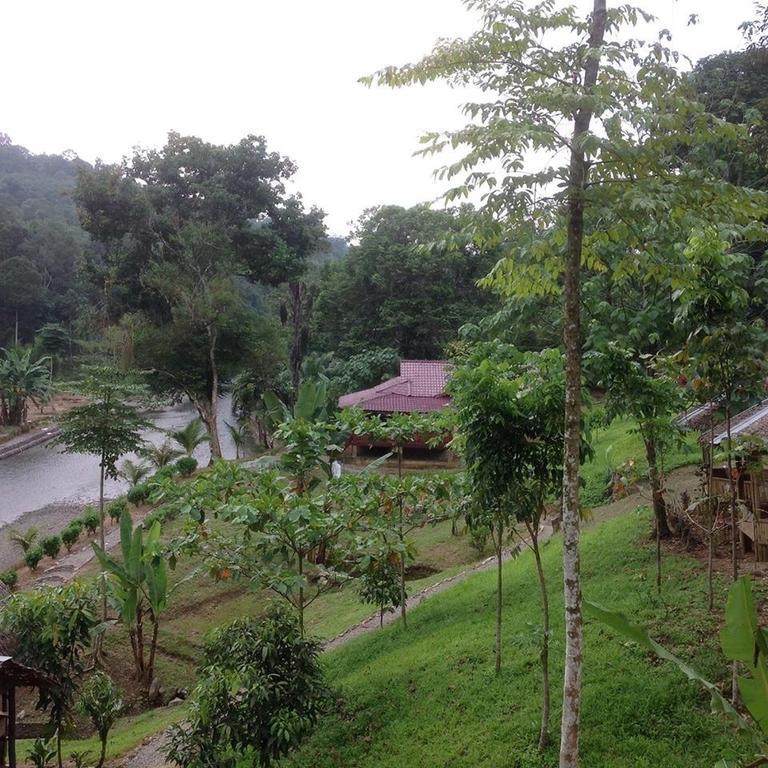 Batu Kapal Jungle Houses Hotell Berastagi Eksteriør bilde