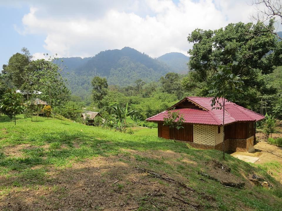 Batu Kapal Jungle Houses Hotell Berastagi Eksteriør bilde